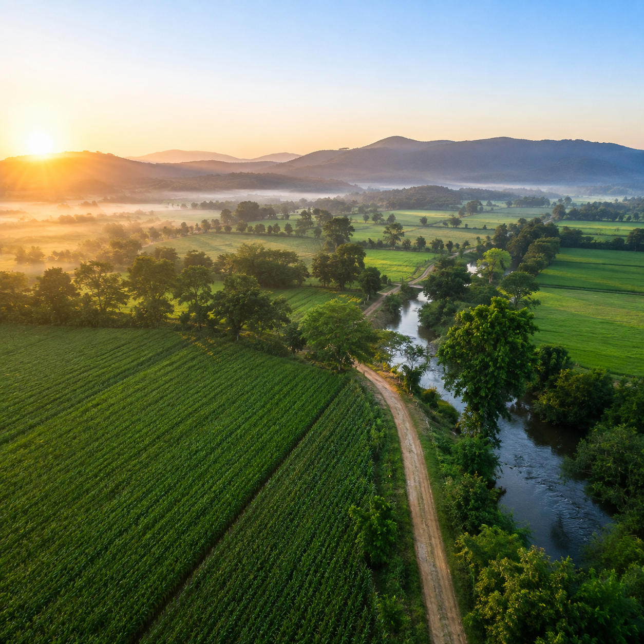 Farmlands